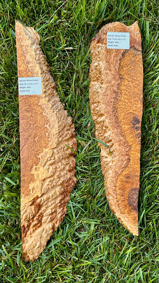 Brown Mallee Burl Set #3626