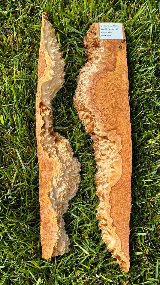 Brown Mallee Burl Set #3628
