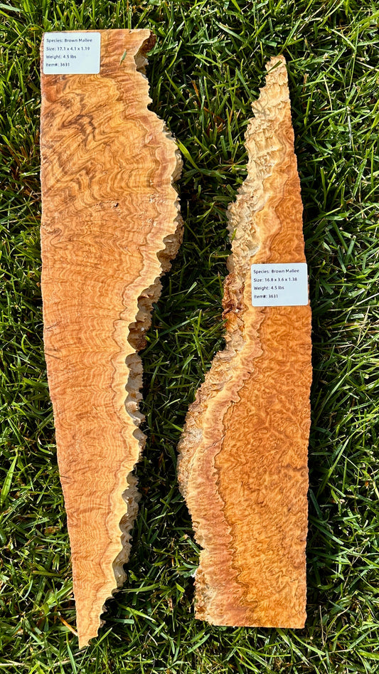 Brown Mallee Burl Set #3631