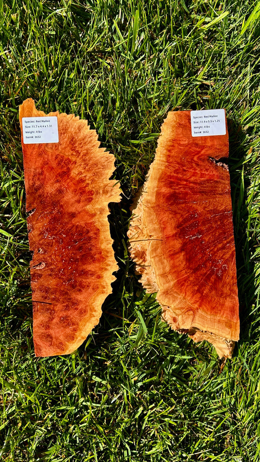 Red Mallee Burl Set #3632