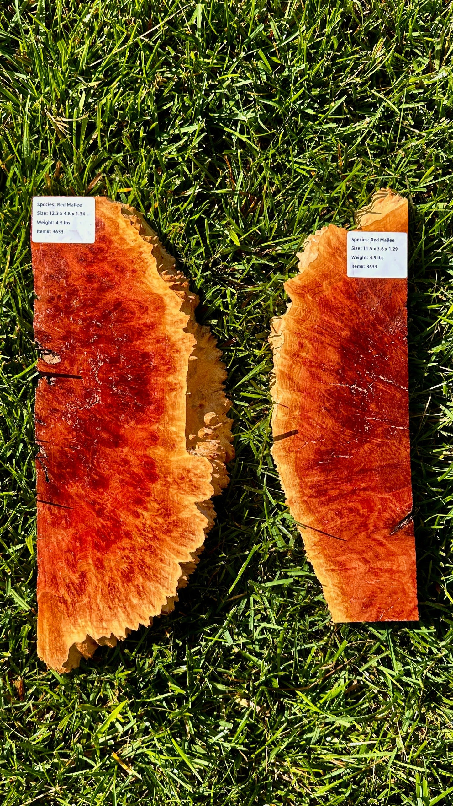 Red Mallee Burl Set #3633