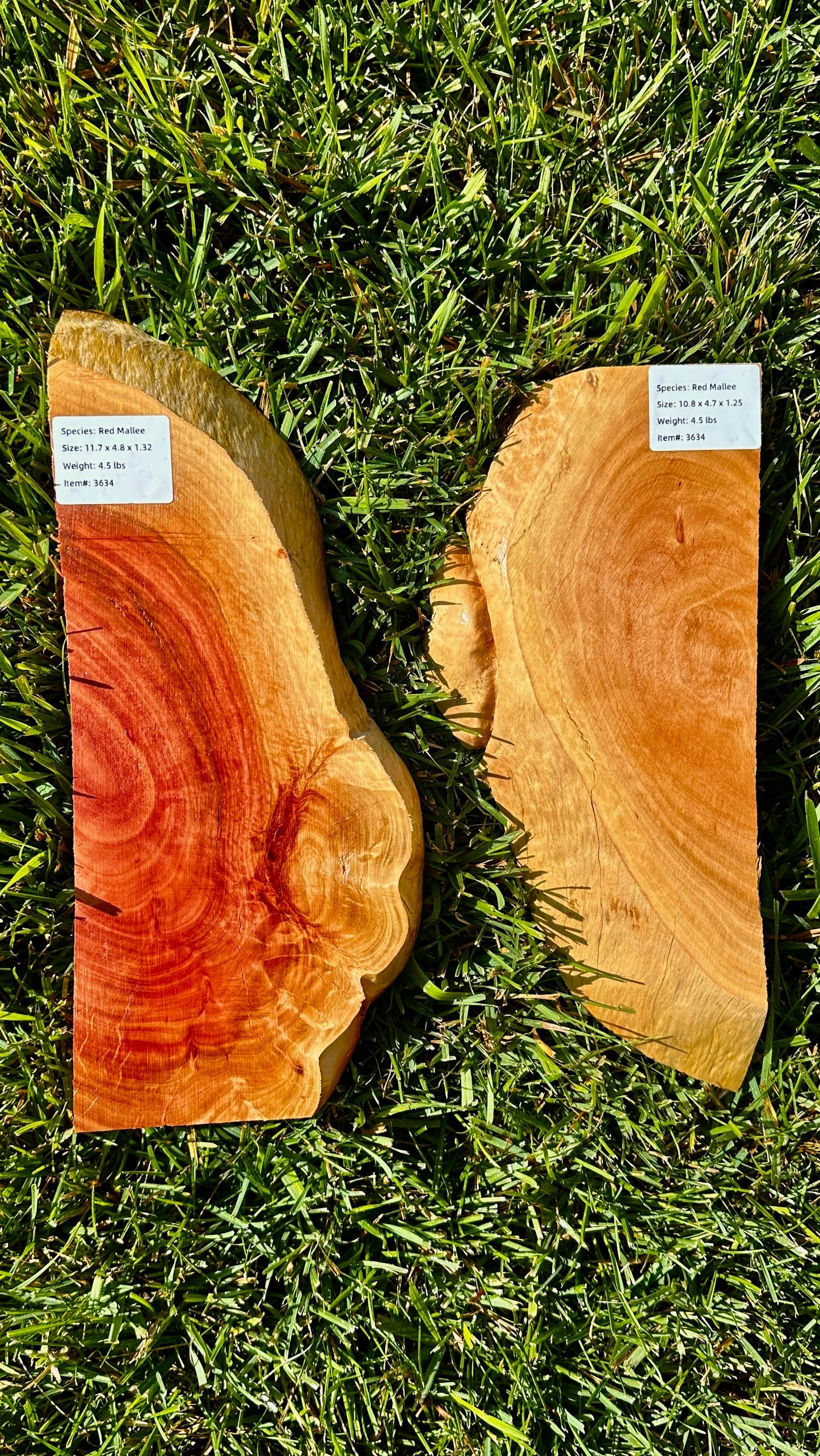 Red Mallee Burl Set #3634