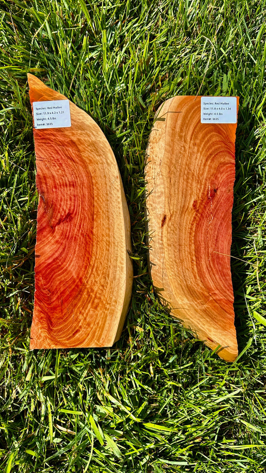 Red Mallee Burl Set #3635