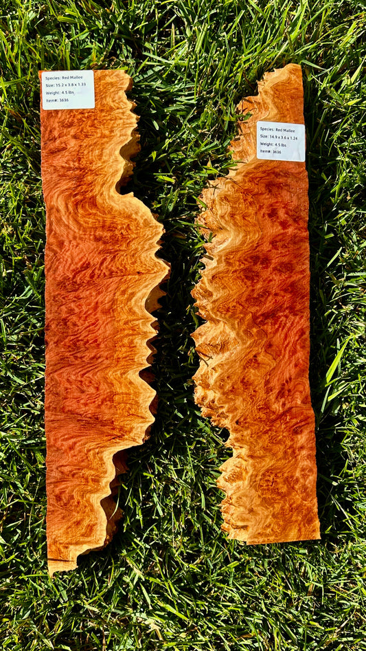 Red Mallee Burl Set #3636