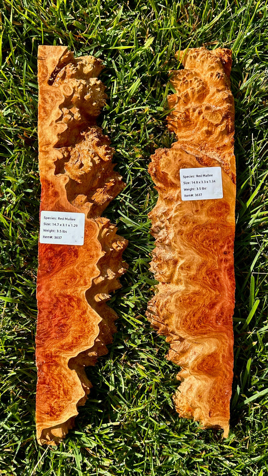 Red Mallee Burl Set #3637
