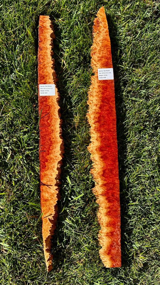 Red Mallee Burl Set #3639