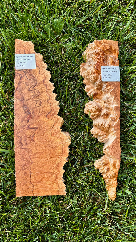 Brown Mallee Burl Set #3641
