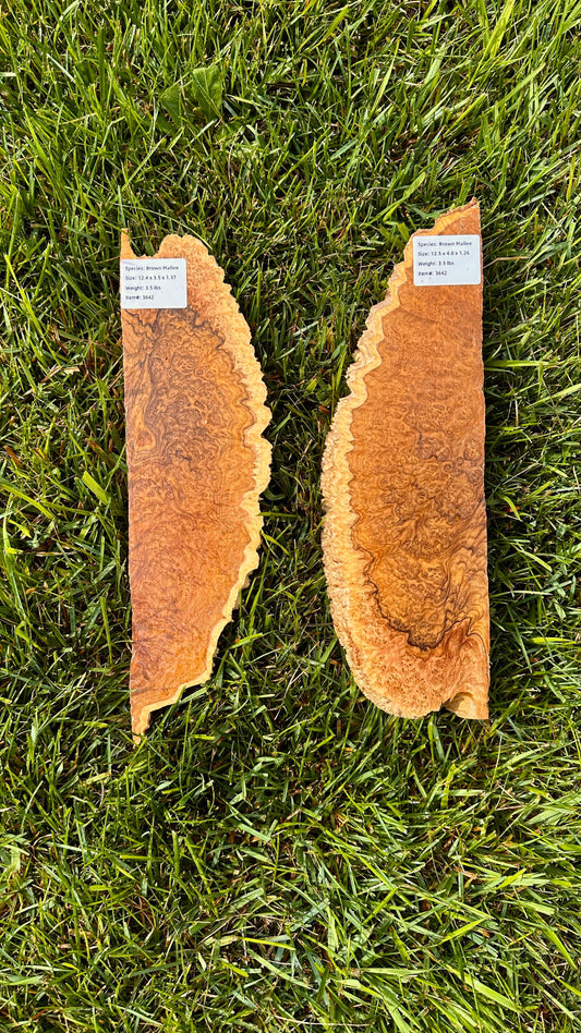 Brown Mallee Burl Set #3642
