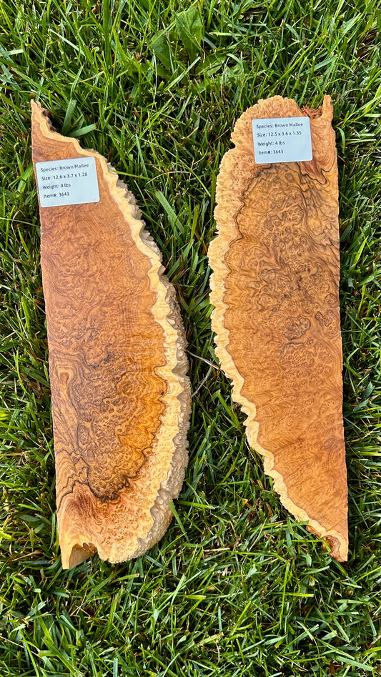 Brown Mallee Burl Set #3643