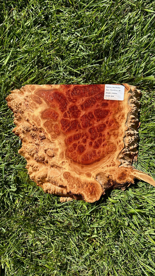 Red Mallee Burl Half #3644