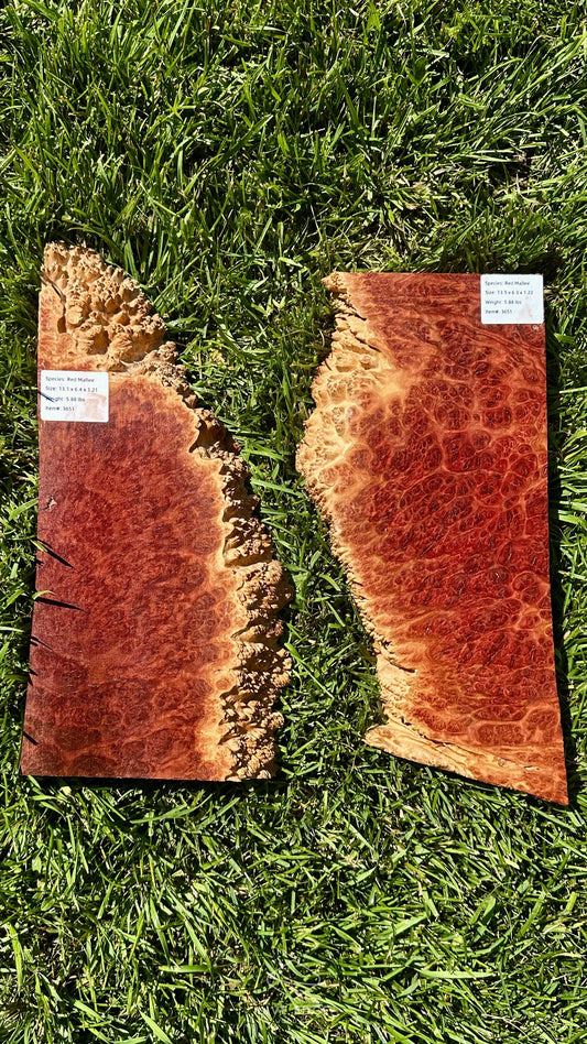 Red Mallee Burl Set #3651