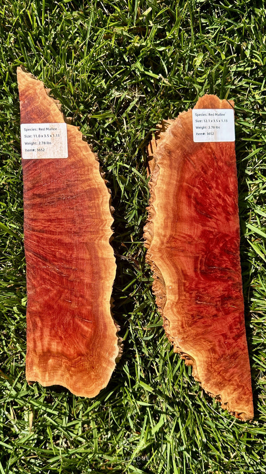 Red Mallee Burl Set #3652