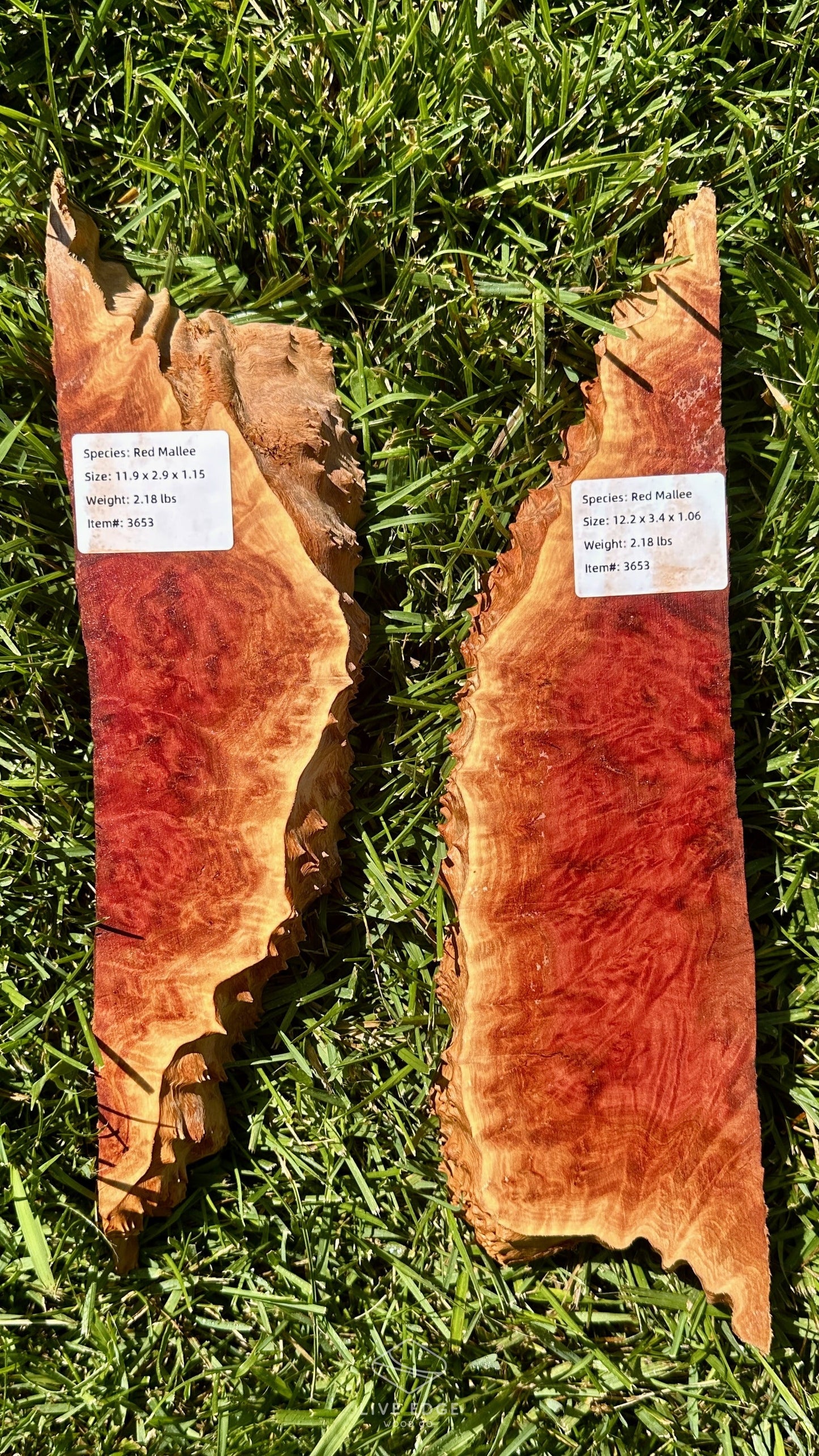 Red Mallee Burl Set #3653