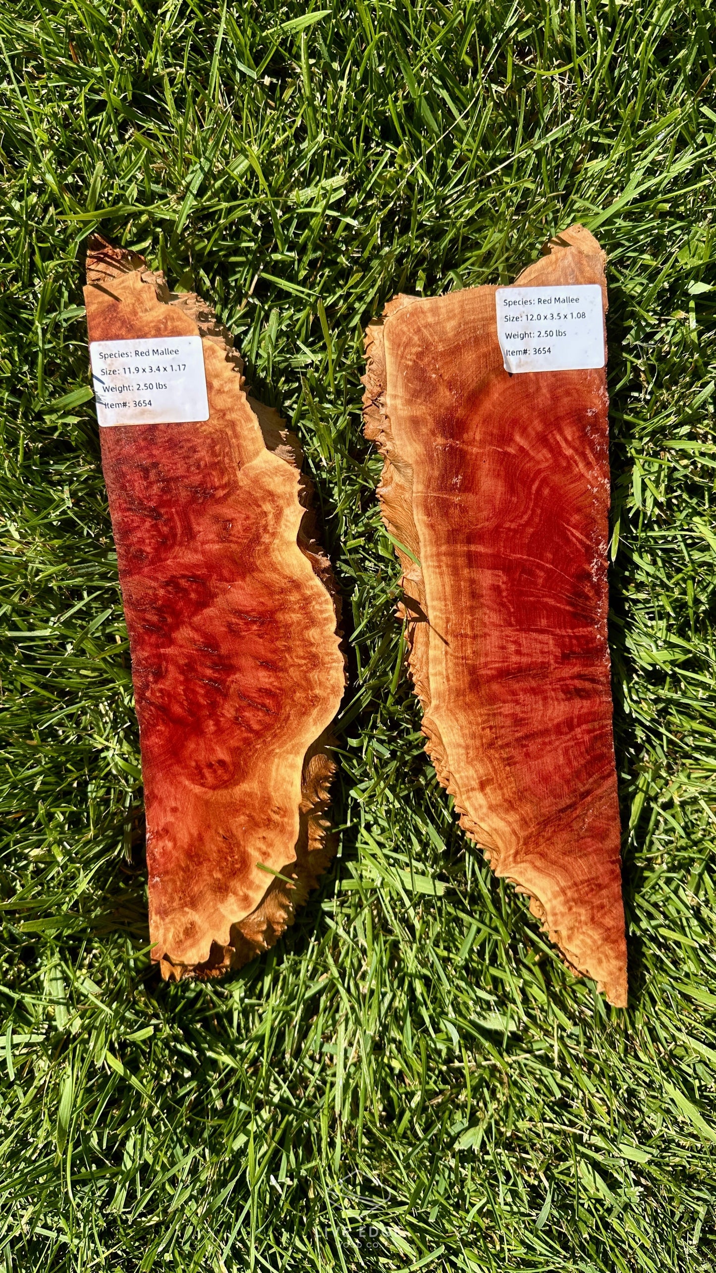 Red Mallee Burl Set #3654