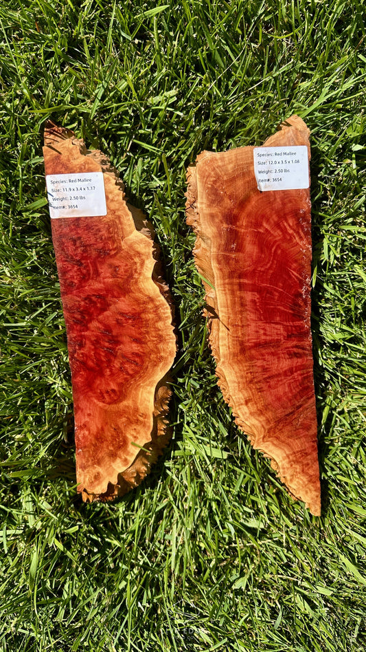 Red Mallee Burl Set #3654