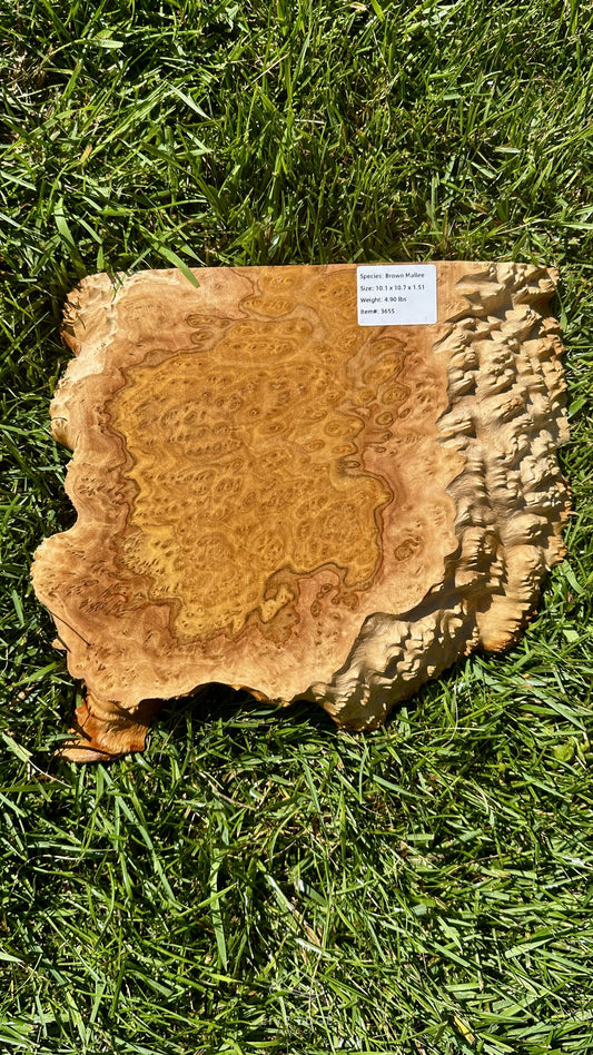 Brown Mallee Burl Half #3655
