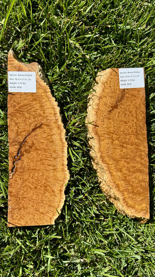 Brown Mallee Burl Set #3658