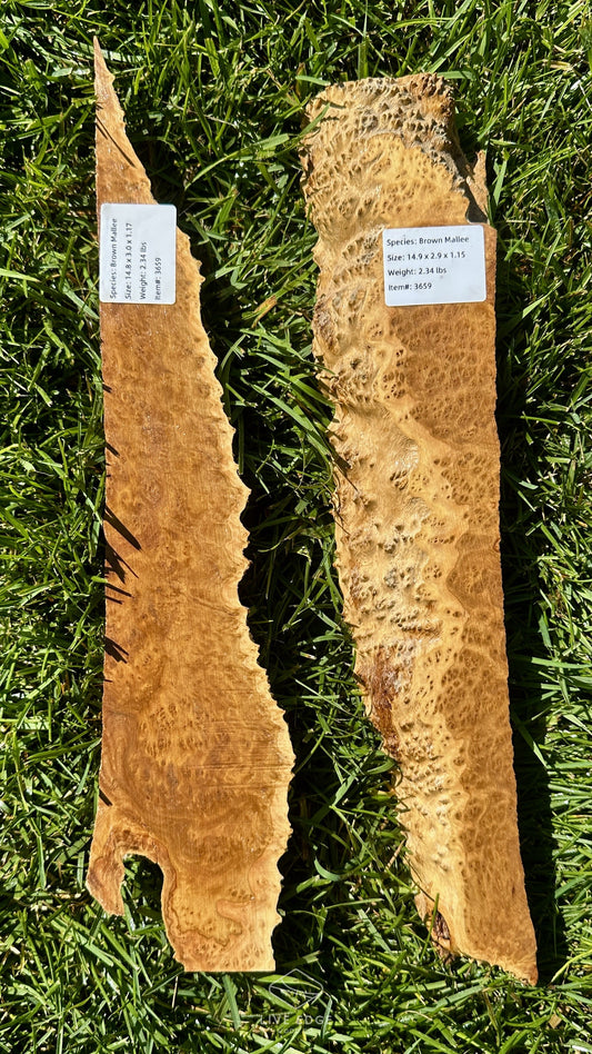 Brown Mallee Burl Set #3659