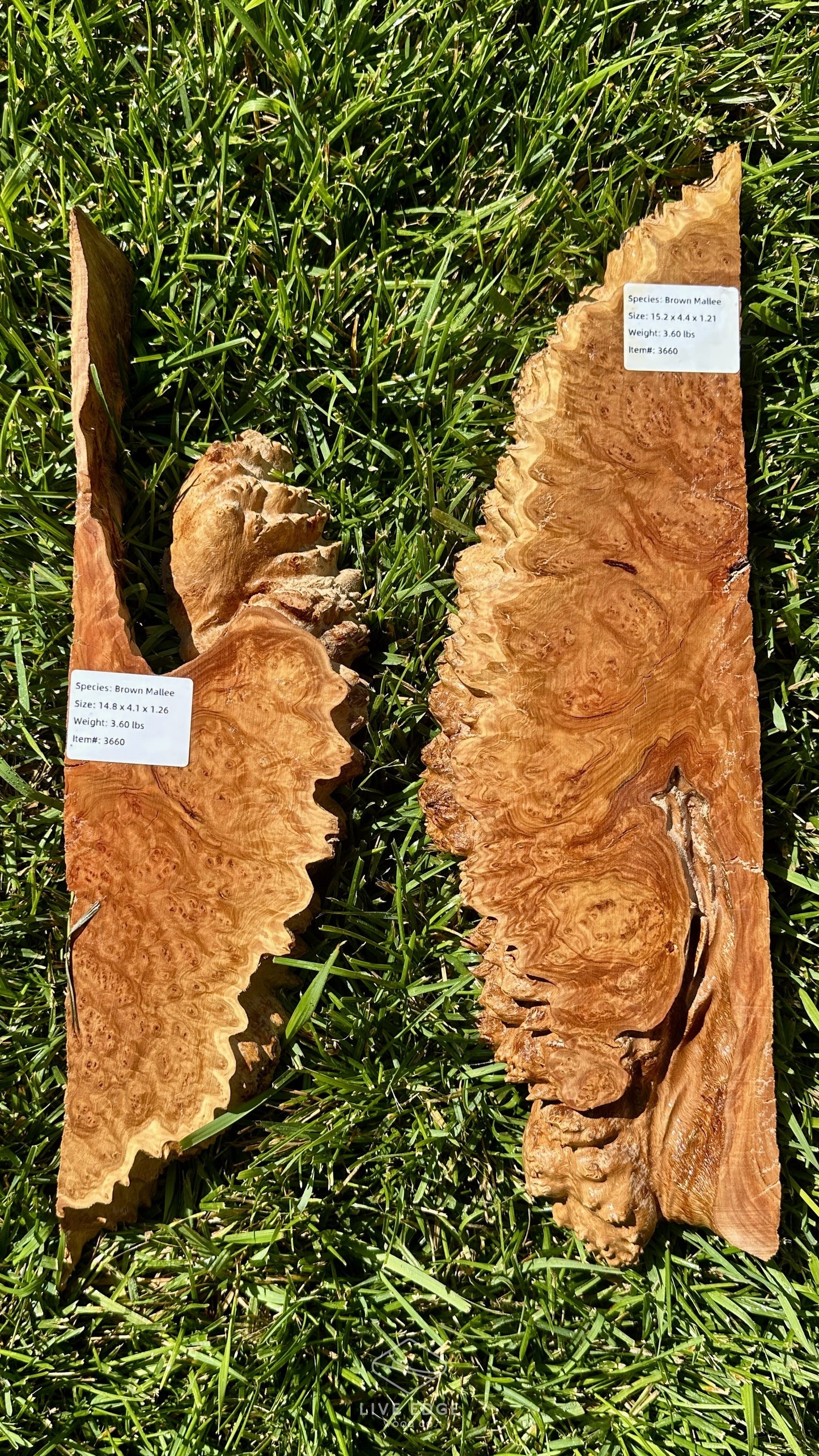 Brown Mallee Burl Set #3660