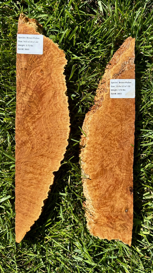 Brown Mallee Burl Set #3663