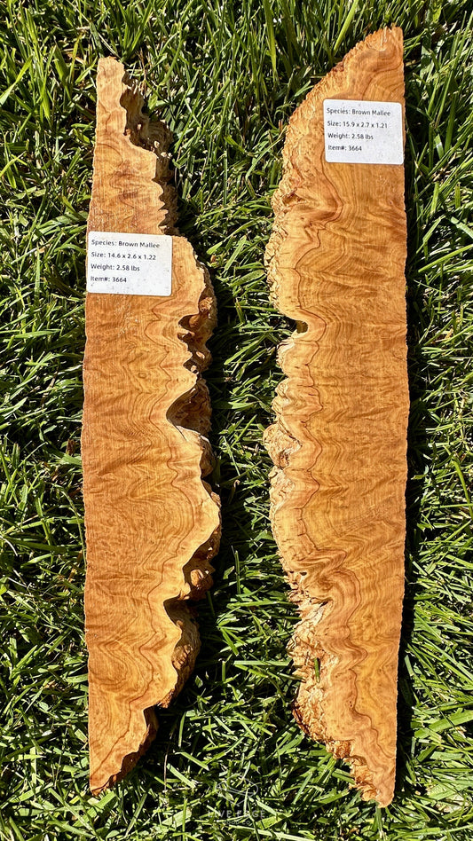 Brown Mallee Burl Set #3664
