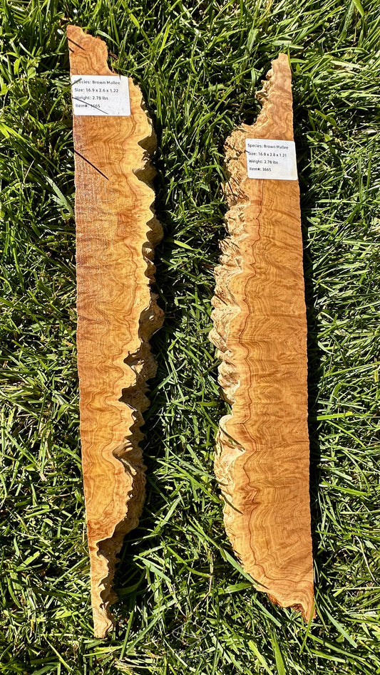 Brown Mallee Burl Set #3665