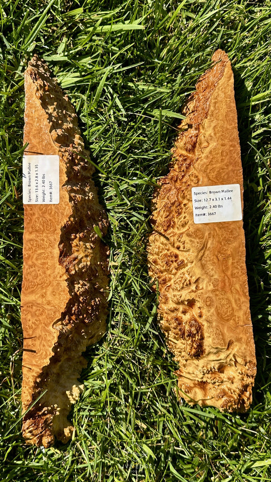 Brown Mallee Burl Set #3667