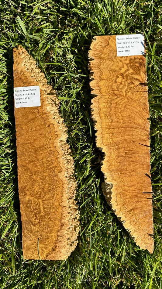 Brown Mallee Burl Set #3668