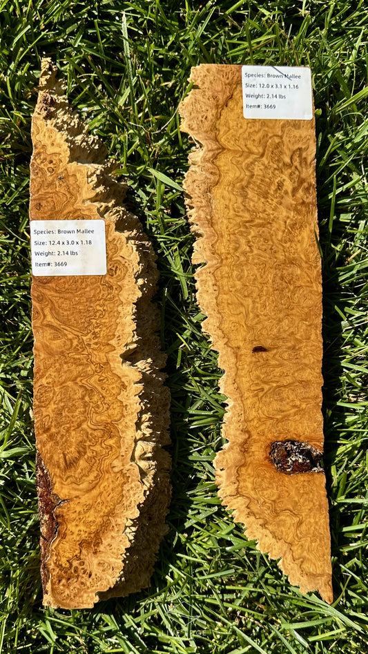 Brown Mallee Burl Set #3669
