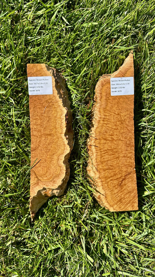 Brown Mallee Burl Set #3670