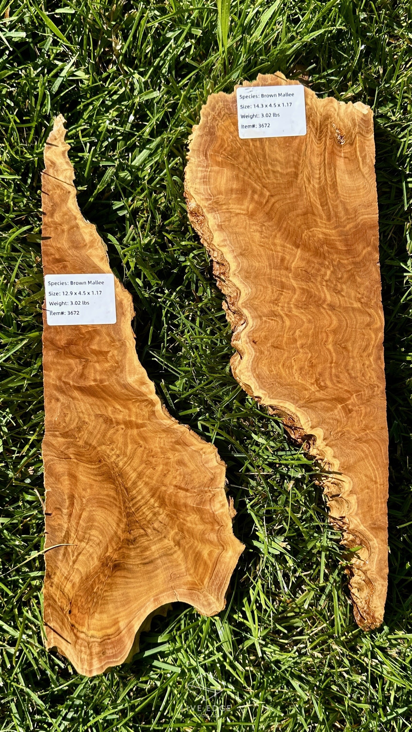 Brown Mallee Burl Set #3672