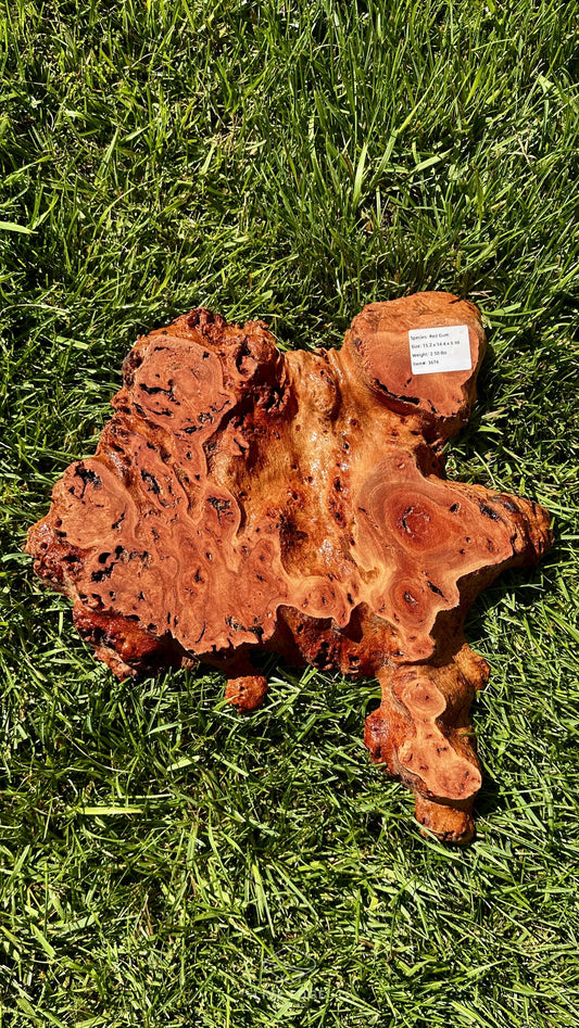 Red Gum Burl Small Round #3674