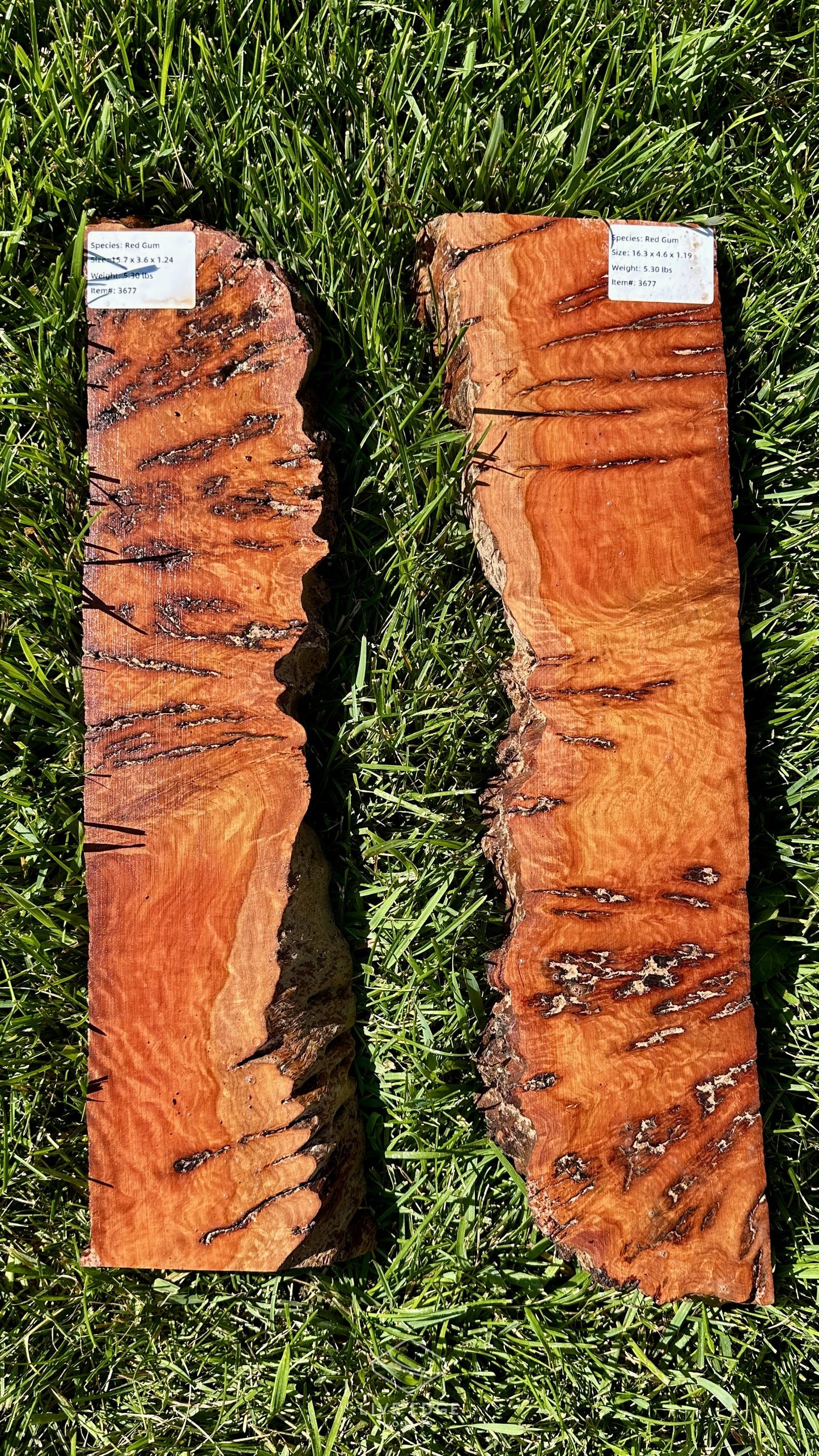 Red Gum Burl Set #3677