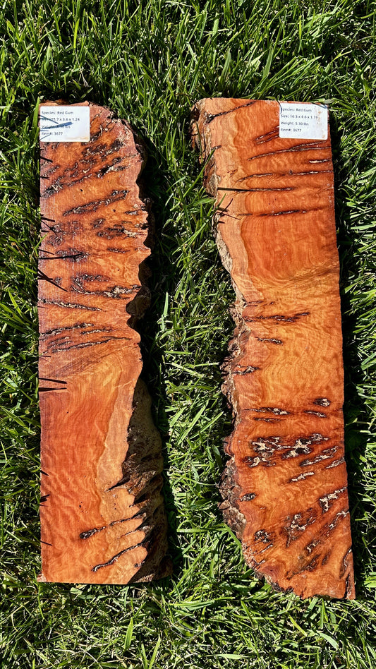 Red Gum Burl Set #3677
