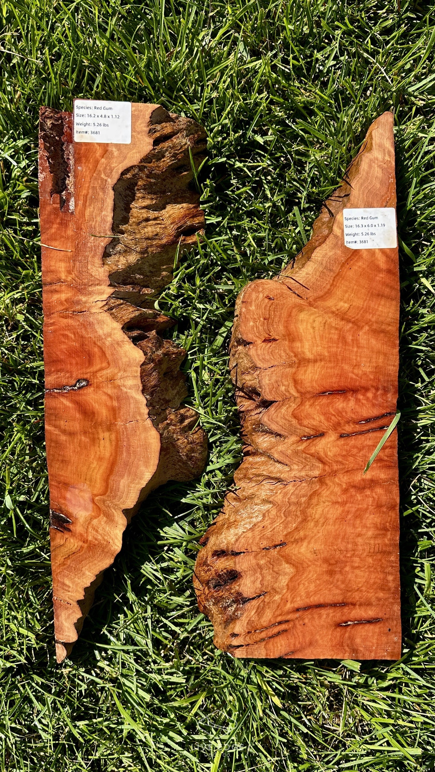 Red Gum Burl Set #3681