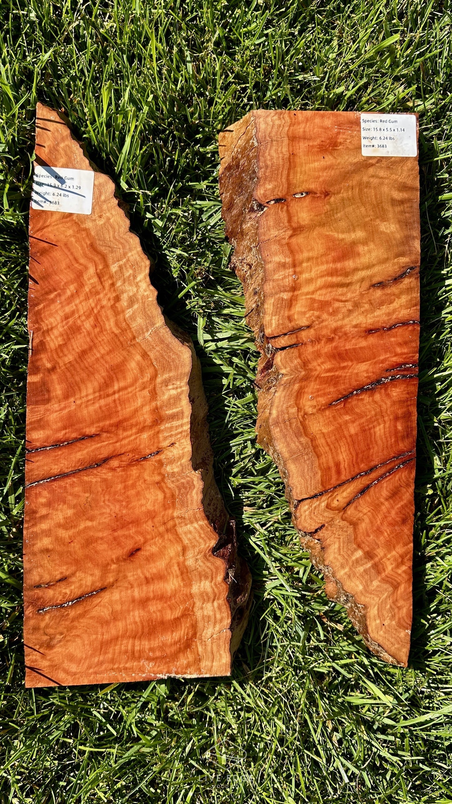 Red Gum Burl Set #3683