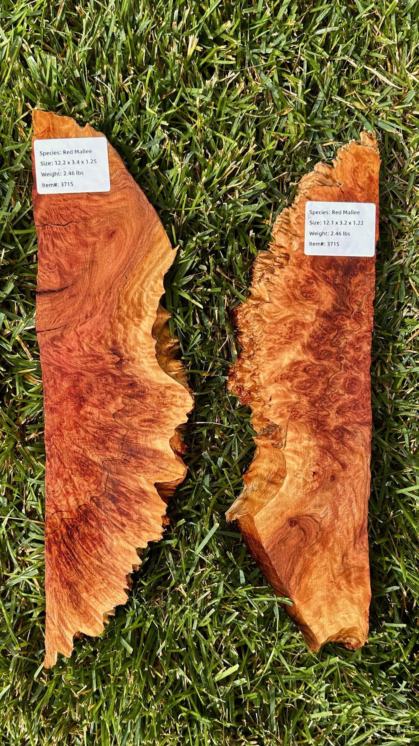 Red Mallee Burl Set #3715
