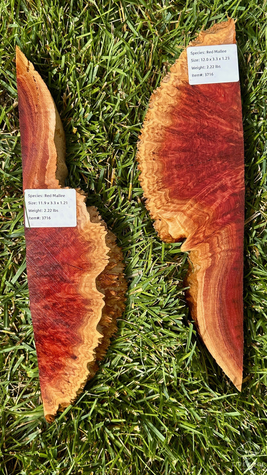 Red Mallee Burl Set #3716
