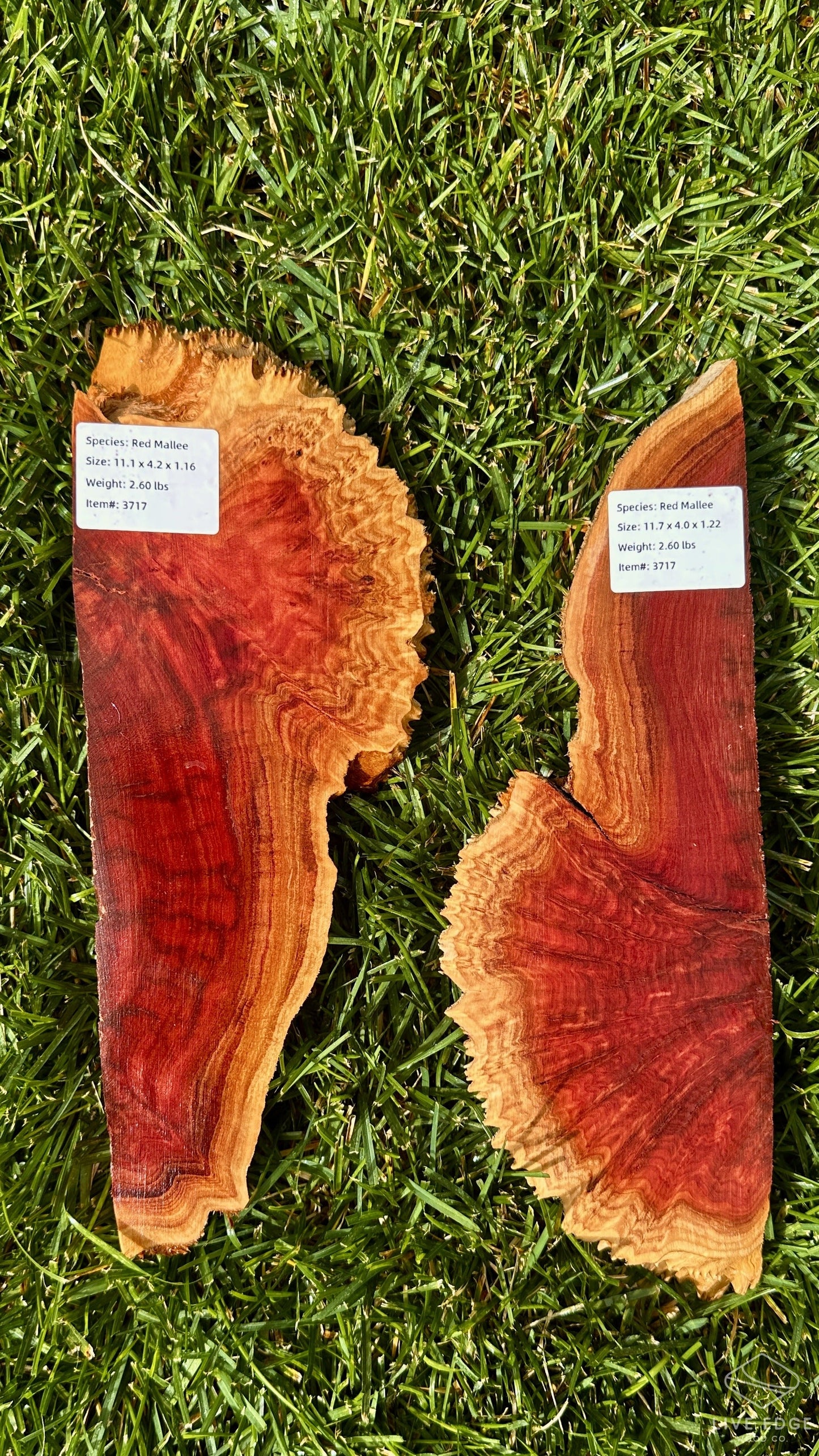 Red Mallee Burl Set #3717