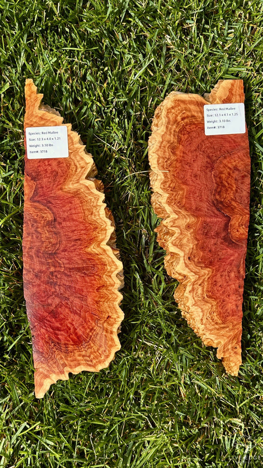 Red Mallee Burl Set #3718