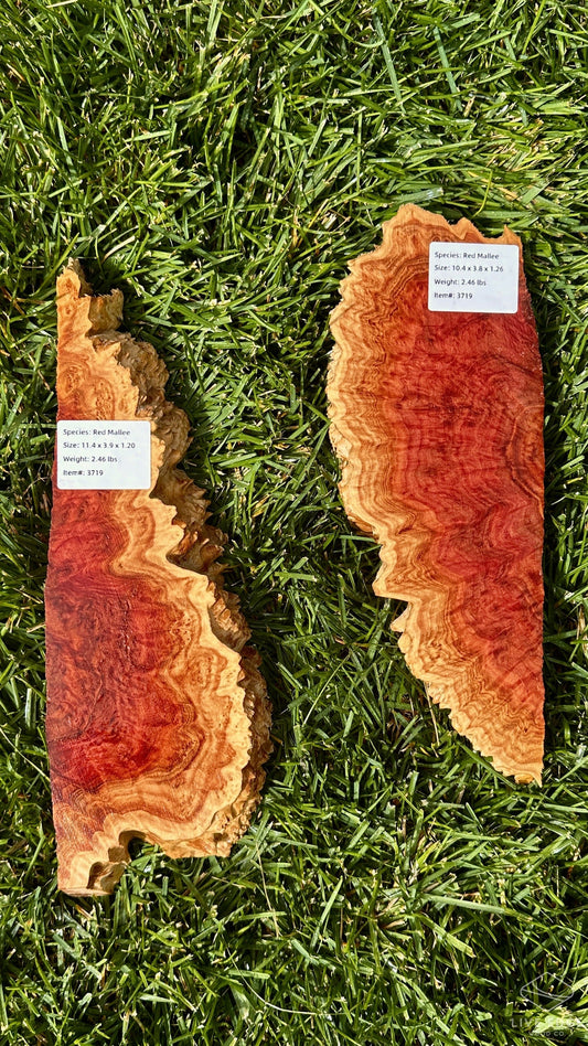 Red Mallee Burl Set #3719