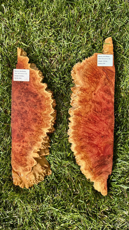 Red Mallee Burl Set #3720