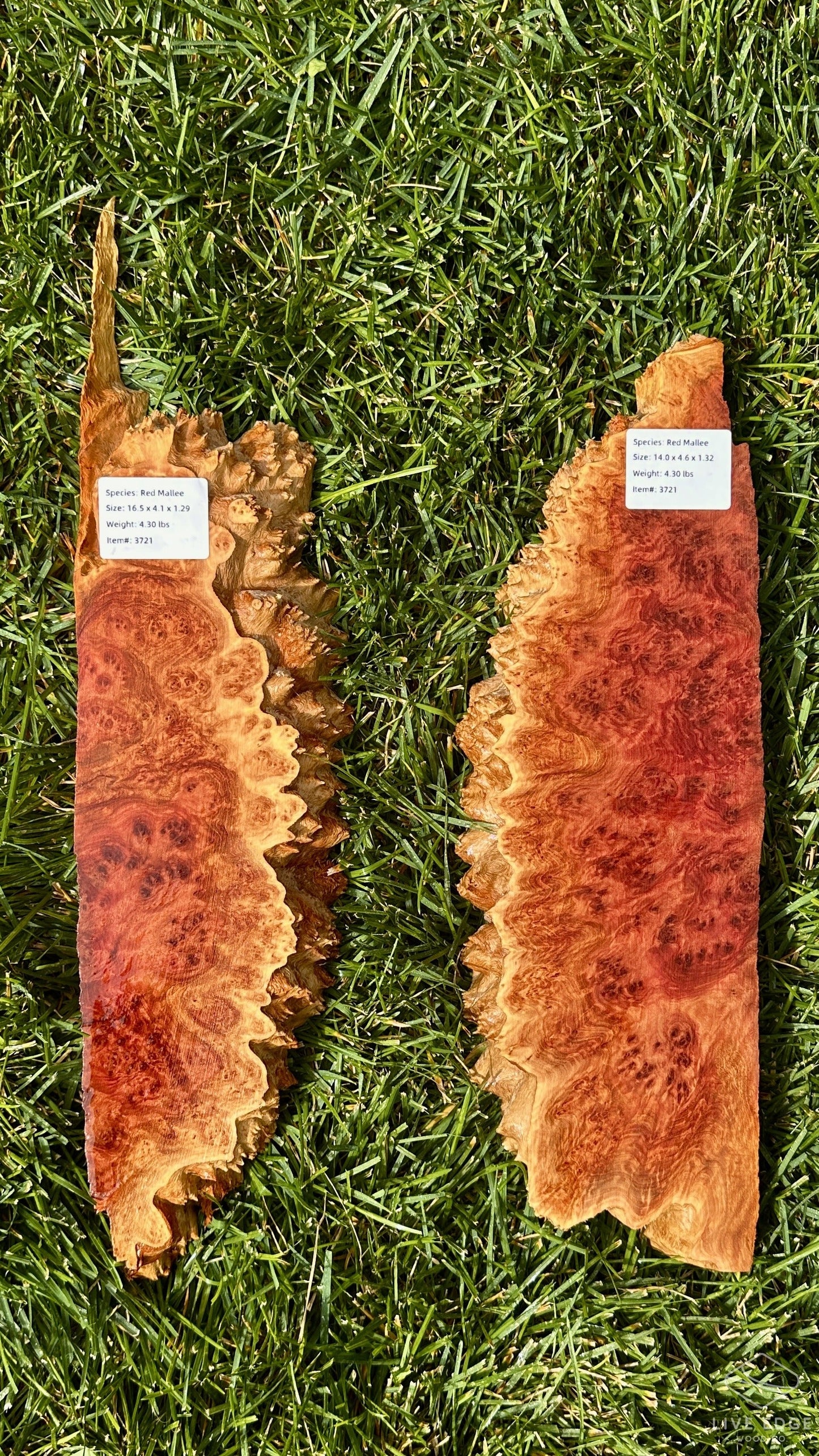 Red Mallee Burl Set #3721