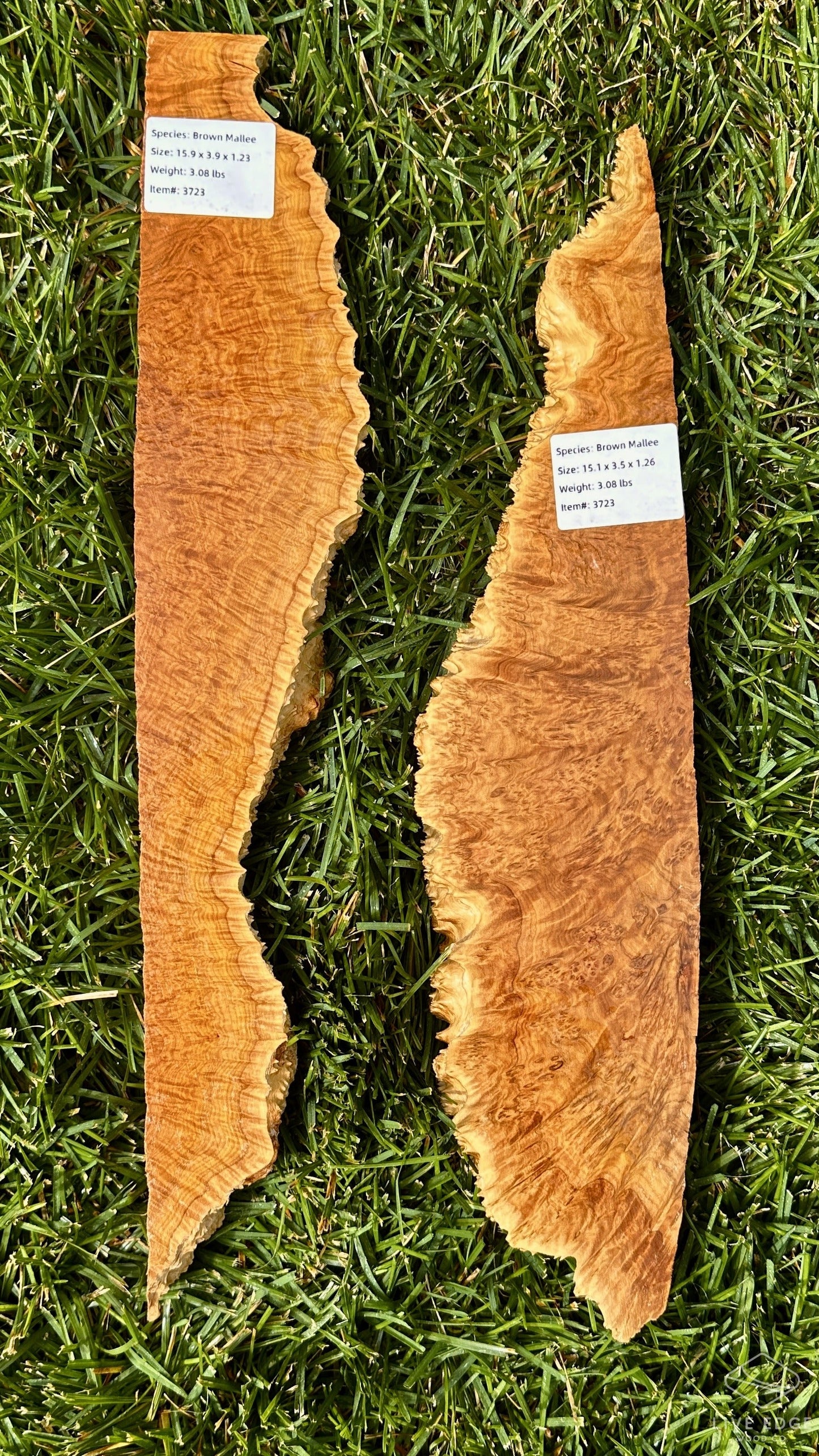 Brown Mallee Burl Set #3723