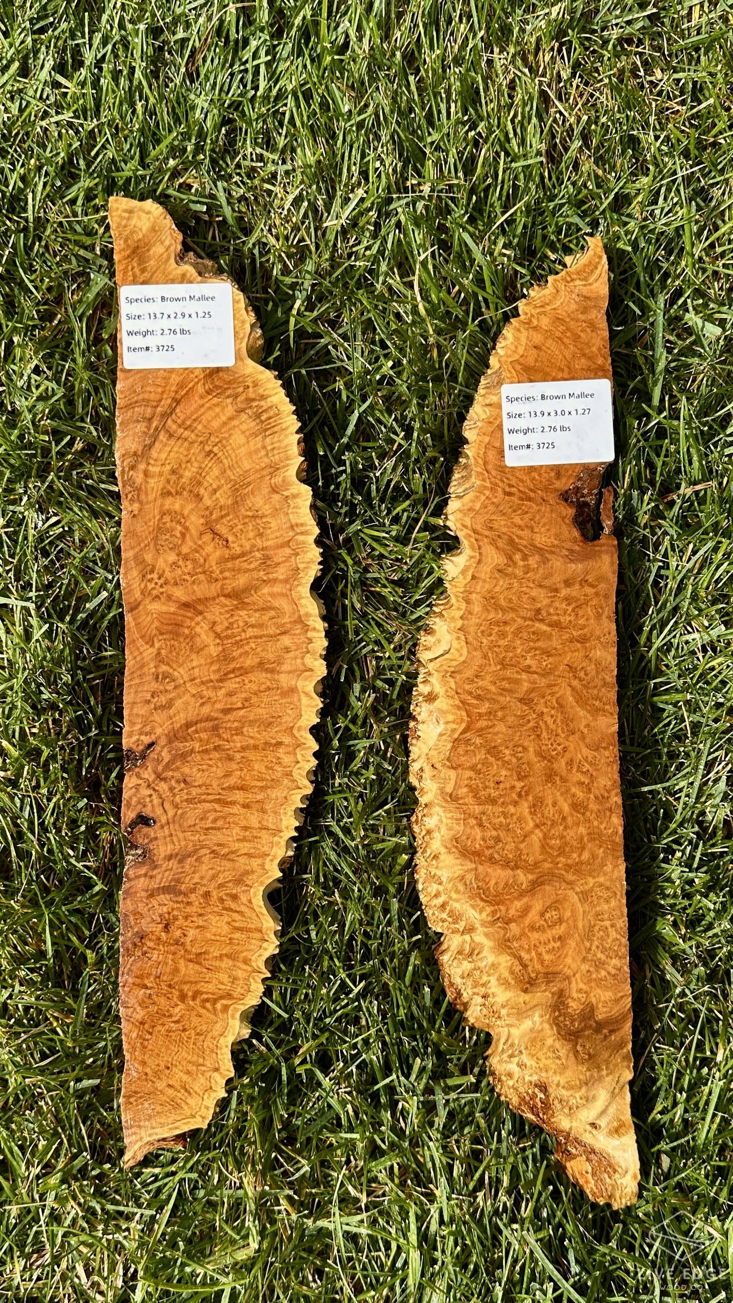 Brown Mallee Burl Set #3725