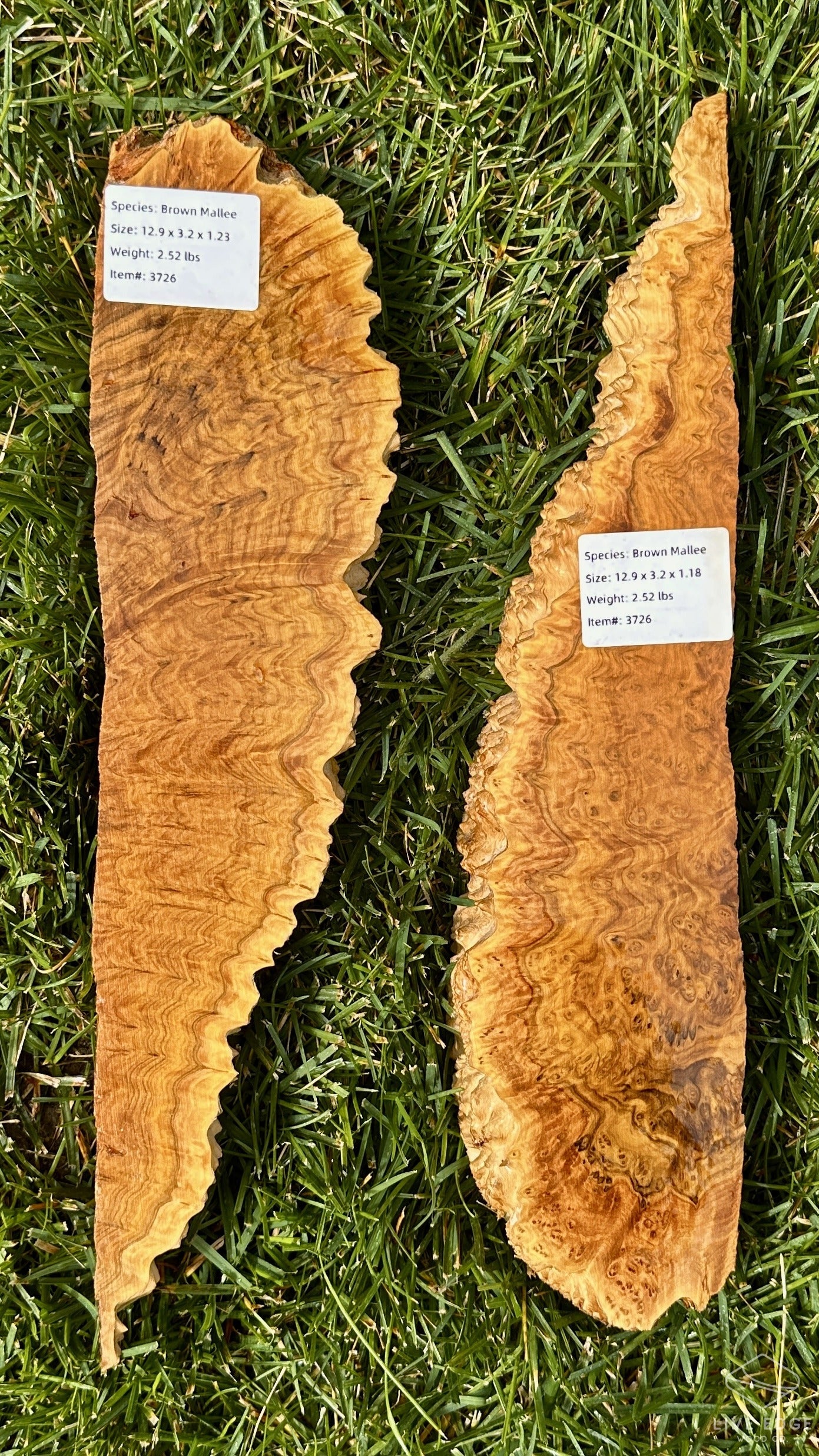 Brown Mallee Burl Set #3726