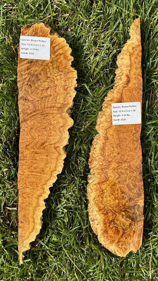 Brown Mallee Burl Set #3726