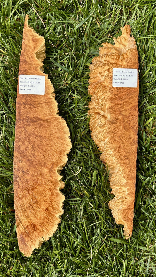 Brown Mallee Burl Set #3728