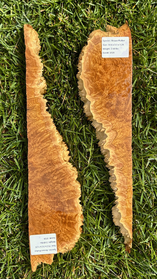 Brown Mallee Burl Set #3729