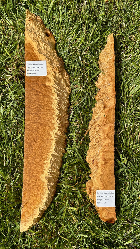 Brown Mallee Burl Set #3730